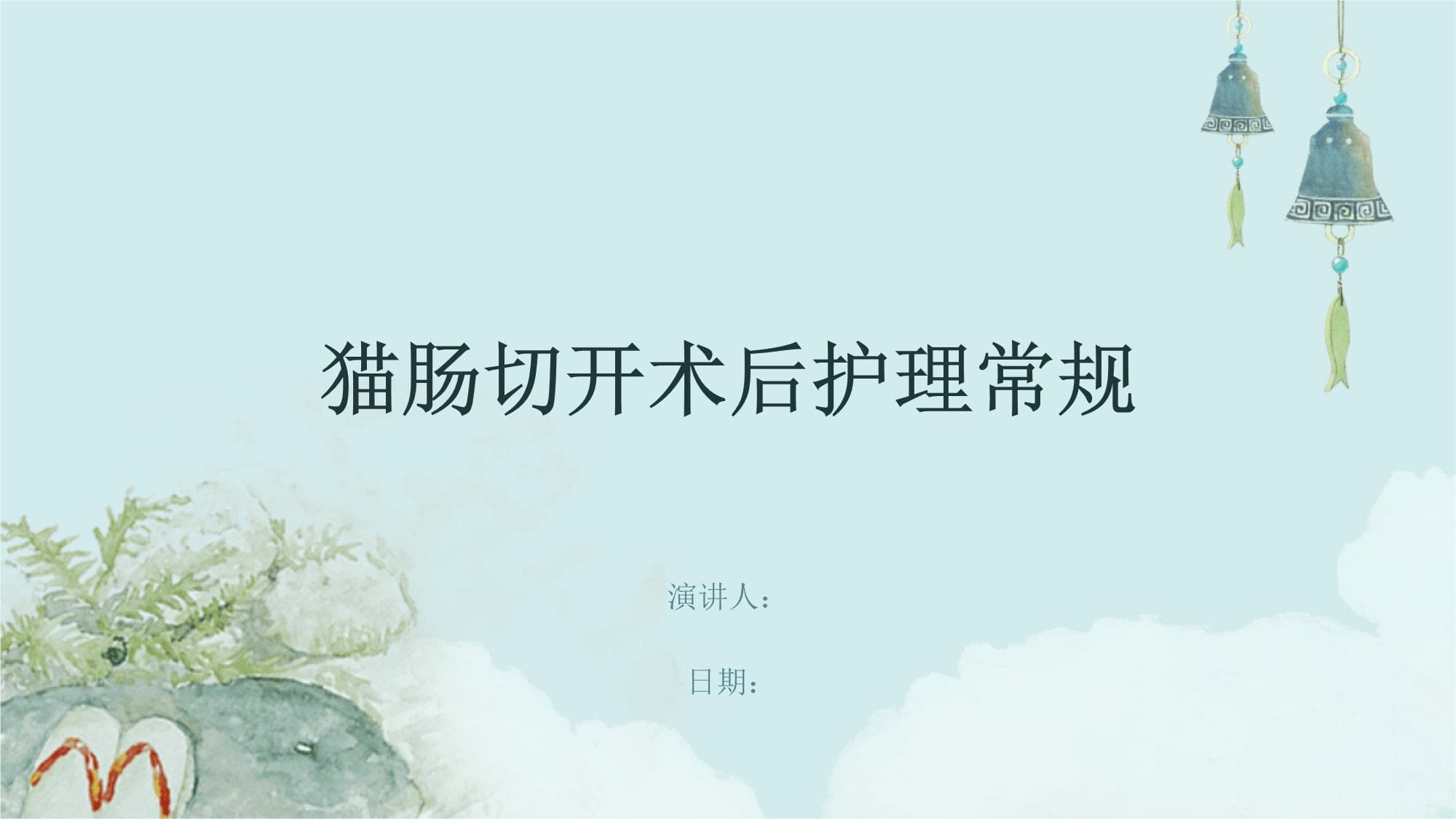 猫肠切开术后护理指南：从术后初期到康复期的全面护理方案