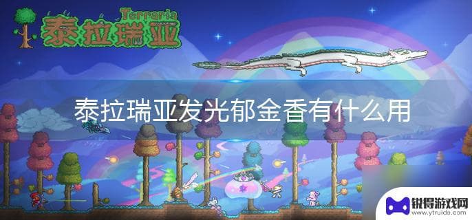 泰拉瑞亚发光郁金香：功能与获取攻略