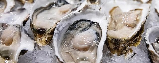 生蚝大的好还是小的好？教你如何挑选和烹饪生蚝