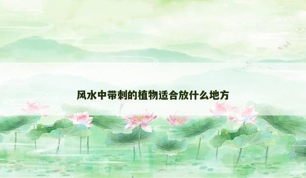 风水中带刺的植物适合放什么地方