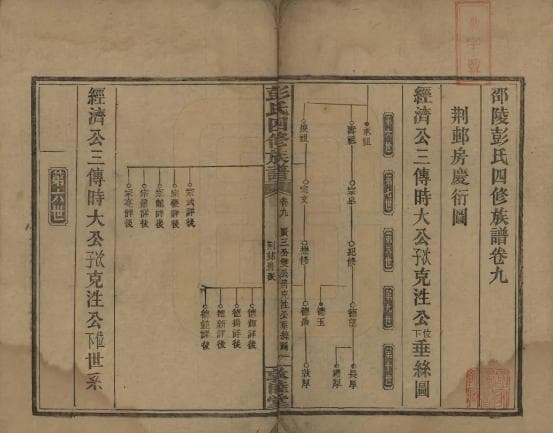 家谱世系表如何正确编写？