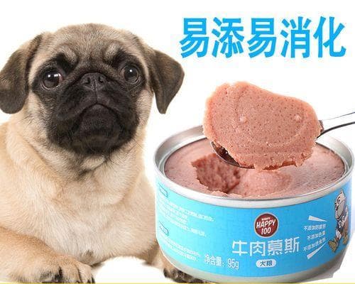 八哥犬（巴哥犬）喂养指南：从饮食到生活环境的全方位护理