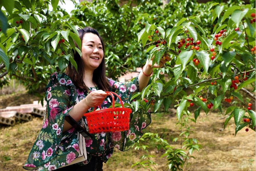 这种水果富含“天然褪黑素”！睡不着觉不妨吃点