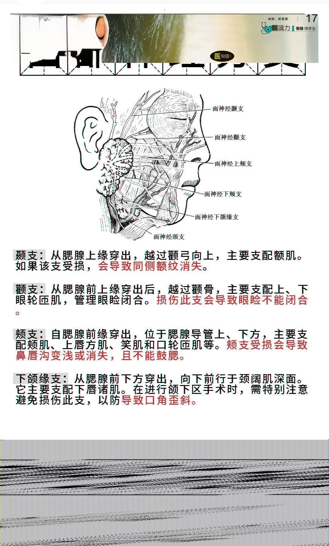 年轻人慎用耳机 避免永久性听损