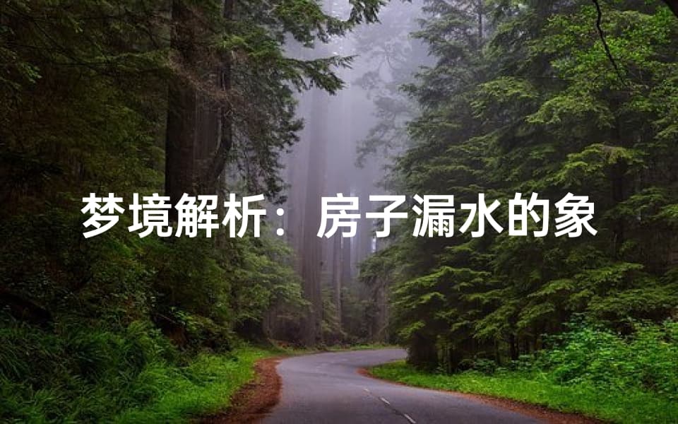 梦境解析：房子漏水的象征意义，揭示潜意识的秘密