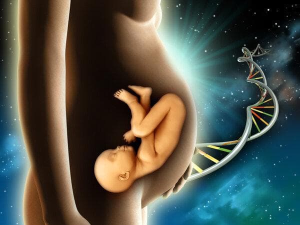 脆性X综合征：一种由基因突变引起的遗传性智力障碍