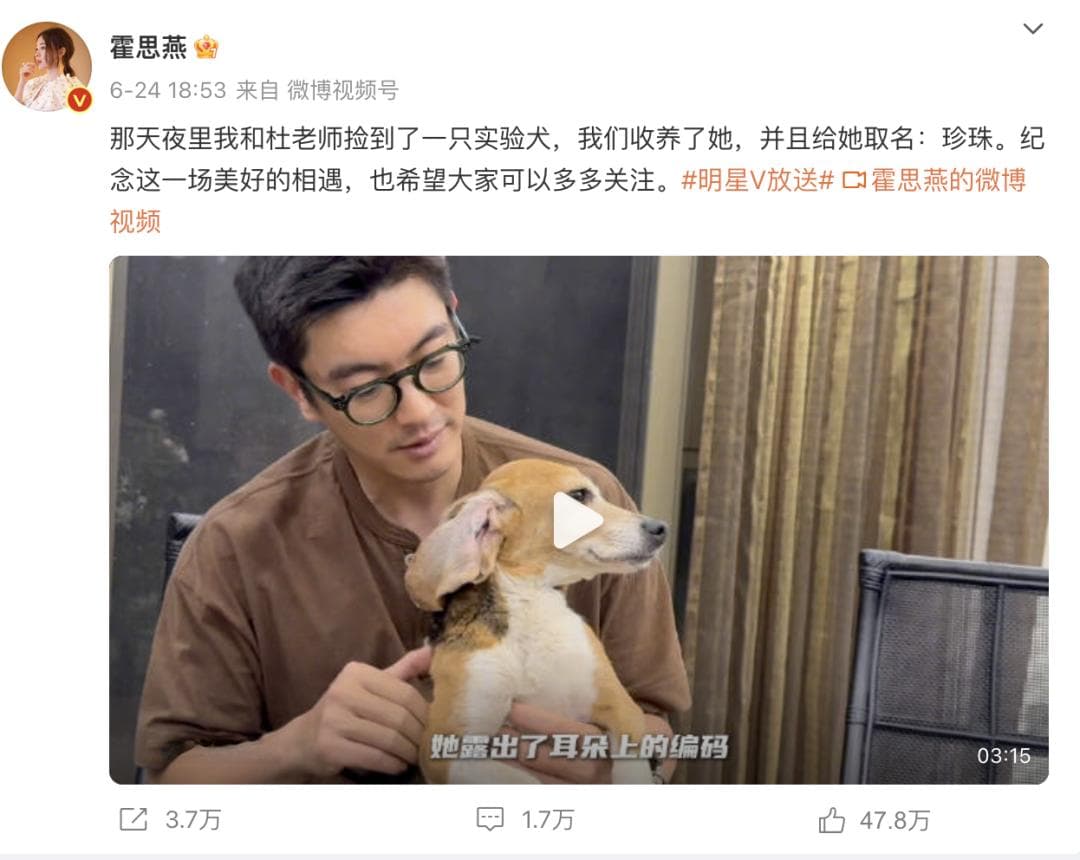 做完实验的狗狗，被领养了能获得幸福吗？