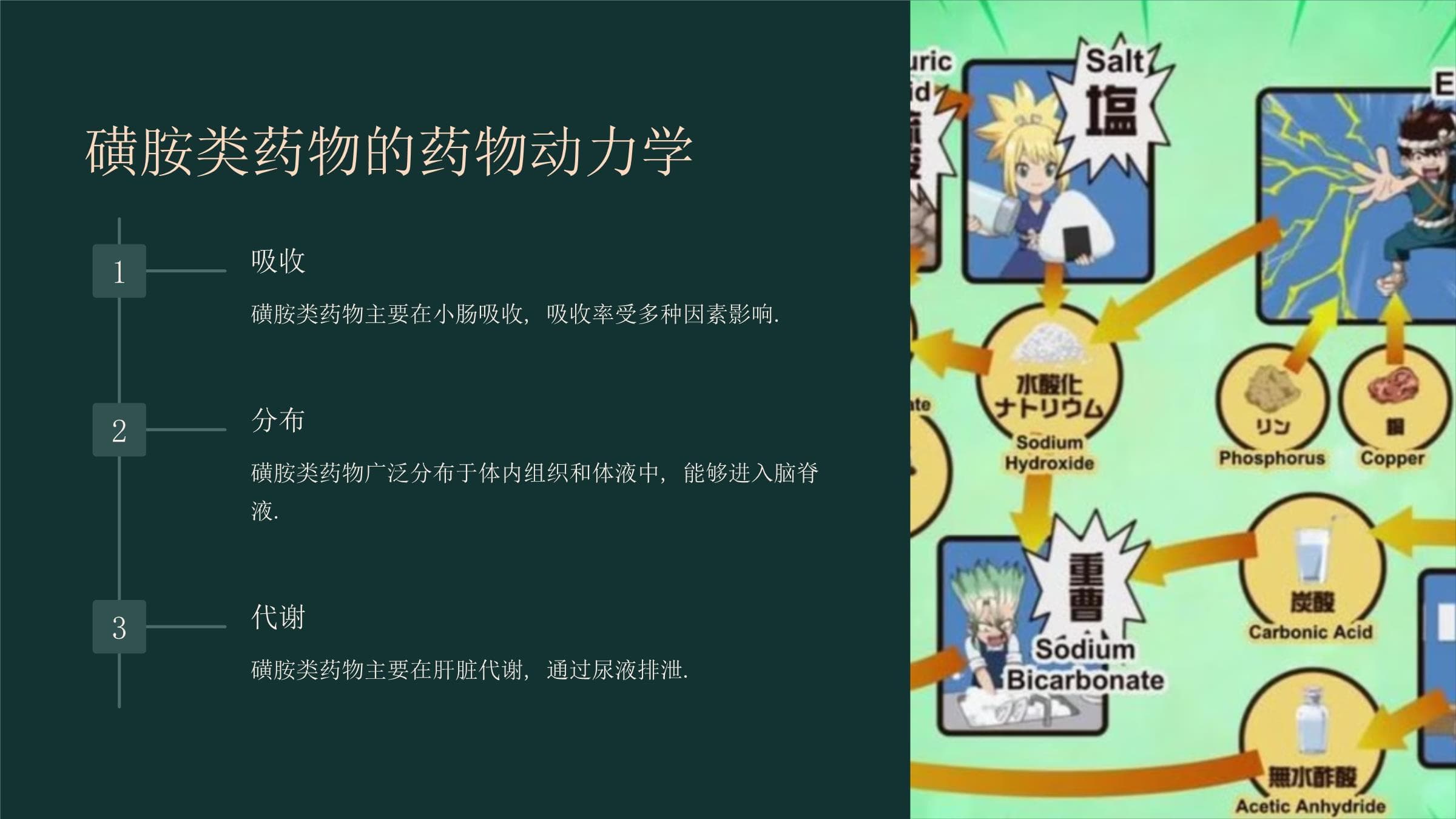 磺胺类药物的全面解析