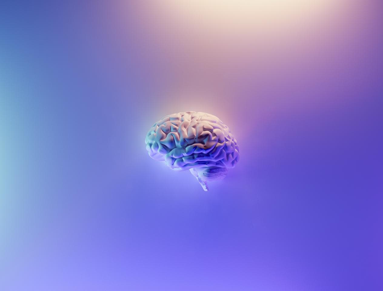 计算机视觉：AI在图像和视频处理中的应用