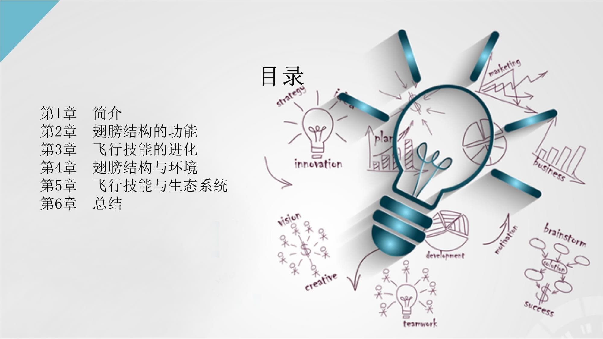 鸟类的翅膀结构与飞行技能演化