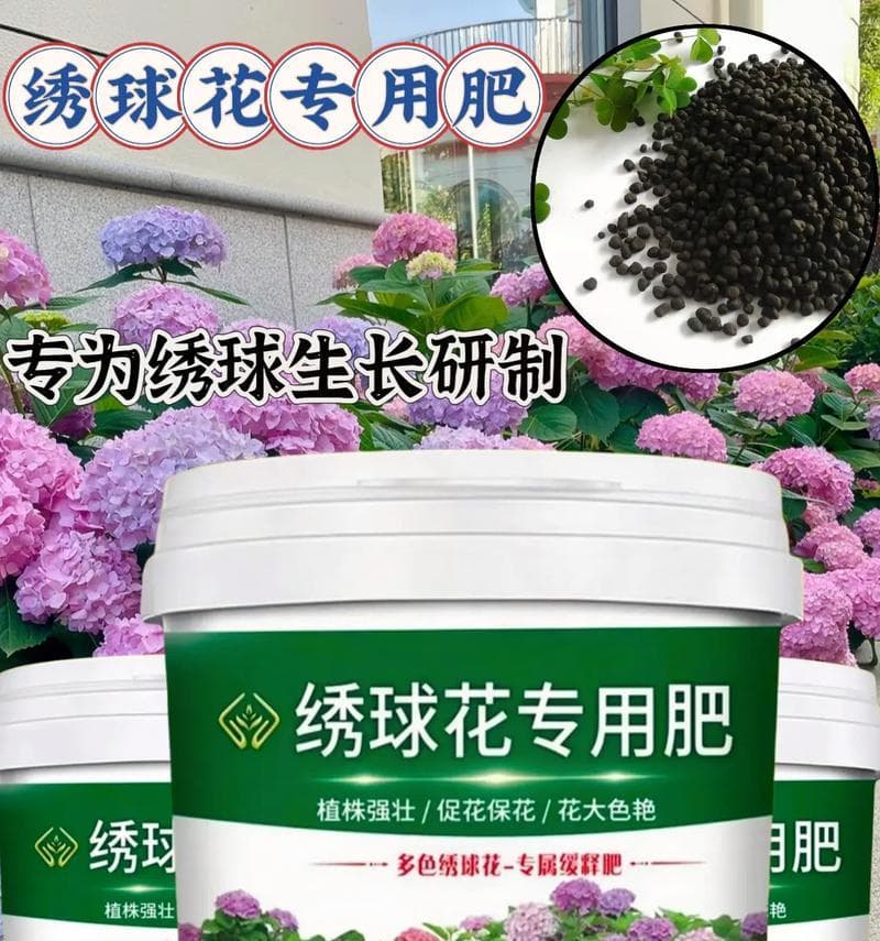 正确浇水方法，让绣球长得更健康（关注适量、频率、水质等问题）