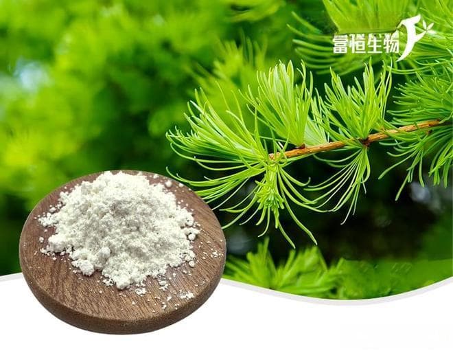 二氢槲皮素：神经元的守护者