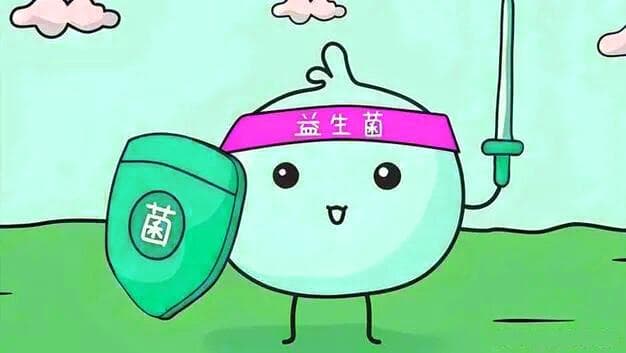 认识益生菌—嗜酸乳杆菌