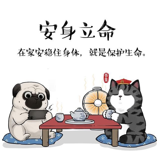 成语新解防疫指南“别来无恙：你别来，我就不会得病。”