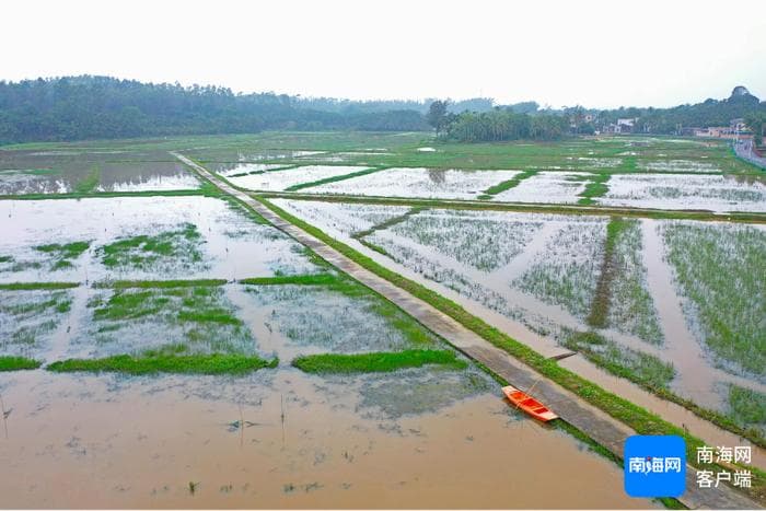 以“鲜”破局 “钳”住机遇 海南小龙虾风风火火“闯”市场