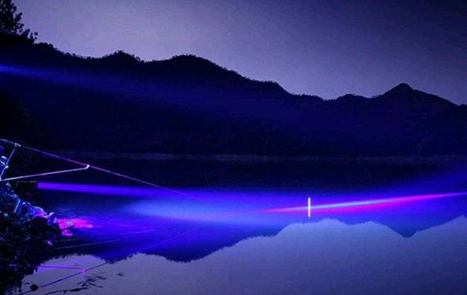 夜晚鱼进食和白天有哪些不同？我们夜钓时需做哪些调整？