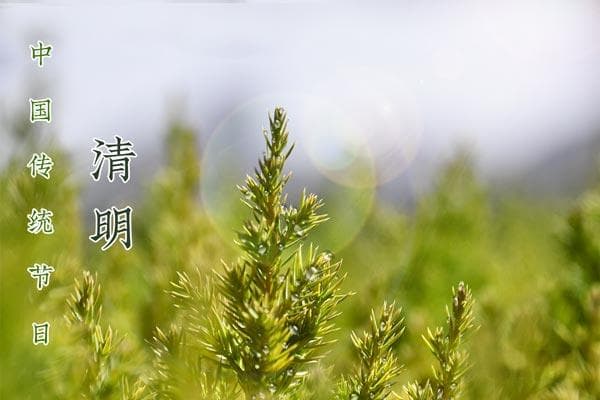 清明节日期为什么不固定，清明节日期怎么算