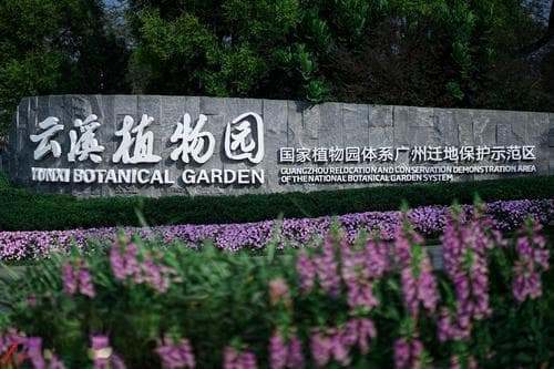 广州云溪植物园正式开园：1320种植物打造岭南园林艺术新地标
