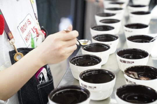 咖啡拼配的奥秘：从豆种选择到风味优化的深度解析
