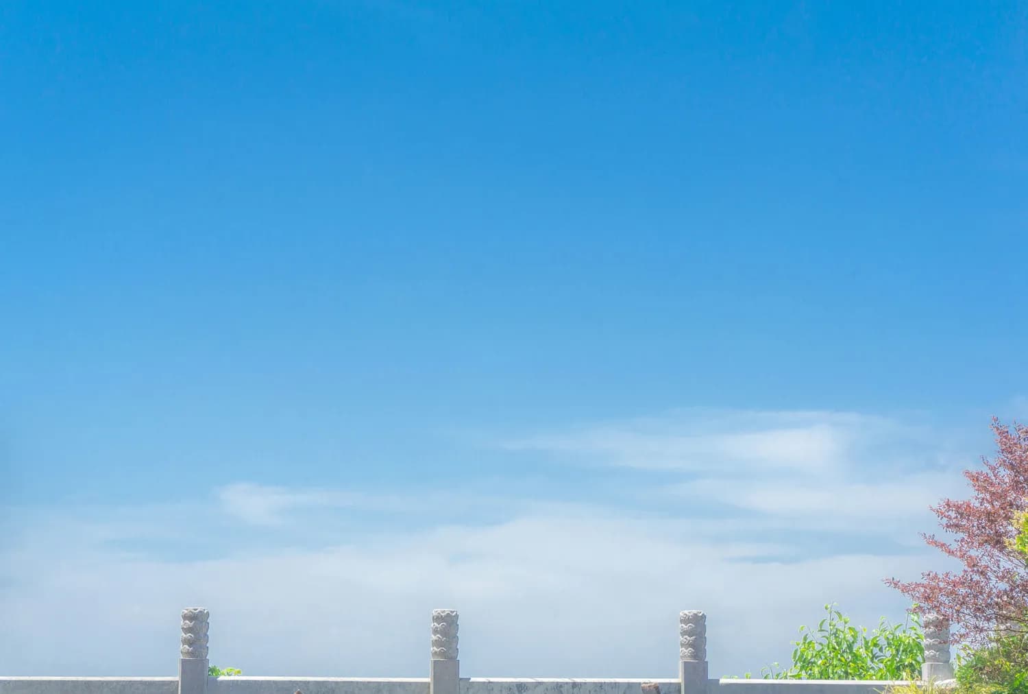 《天之子李世民》：一位西方学者眼中的唐太宗