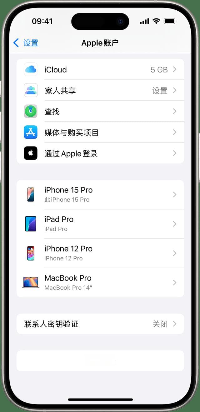 在设备上退出登录 iCloud