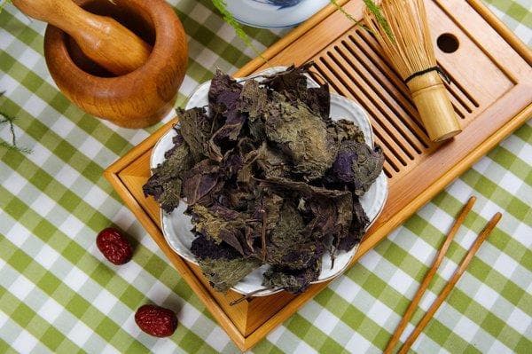金线莲的功效与作用是什么