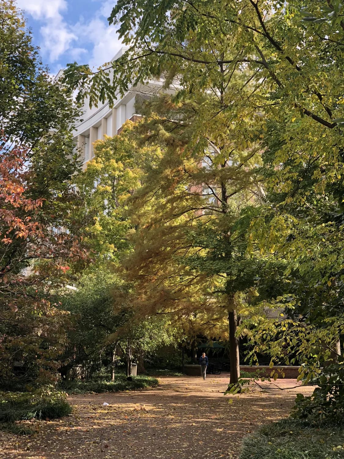 软科排名揭晓：西南大学全球地位再提升
