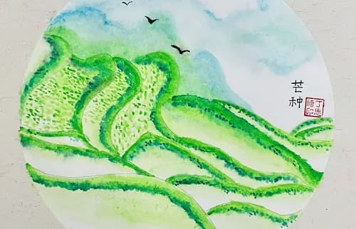 芒种节气的来历与风俗：一个节气里的文化密码