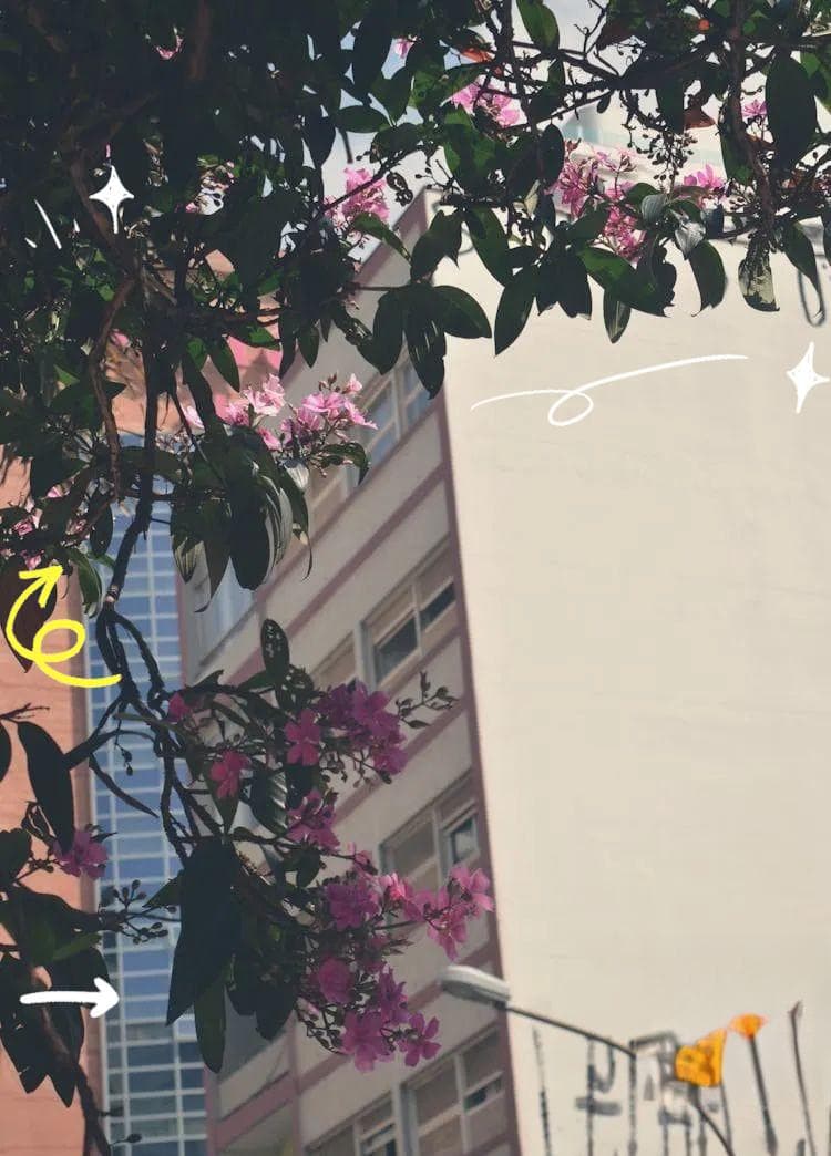 iOS手机应用权限管理指南：保护隐私安全的全攻略