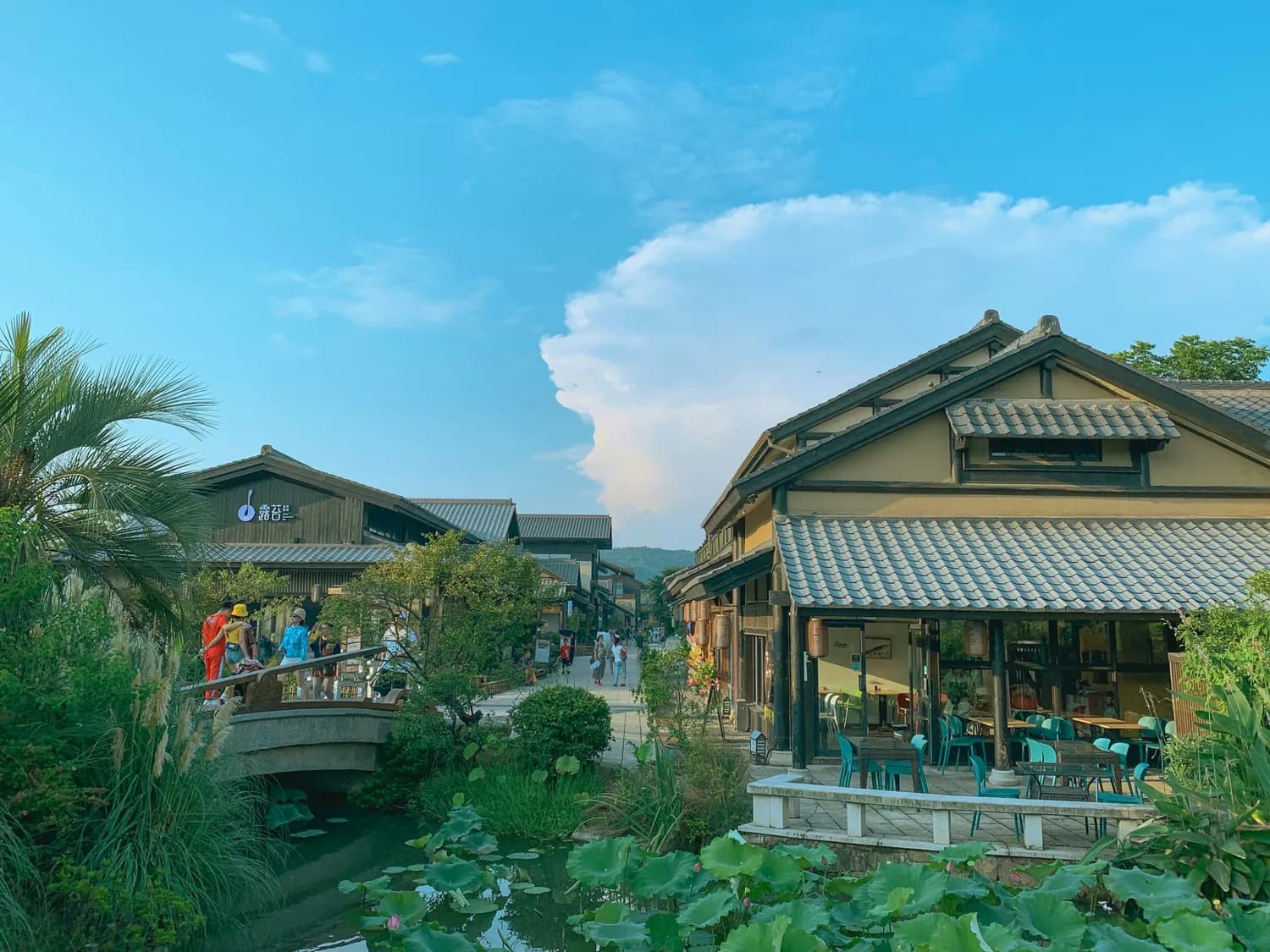 美食引领乡村振兴，广东模式成全国范例