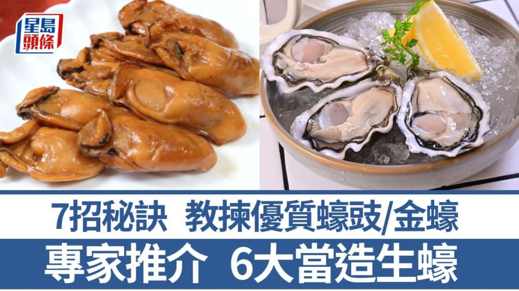 专家讲解6大当造生蚝 7招秘诀教选优质蚝豉/金蚝 附简易食谱｜食材知识
