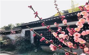 二套房子过户费怎么算？二手房过户所需材料及注意事项