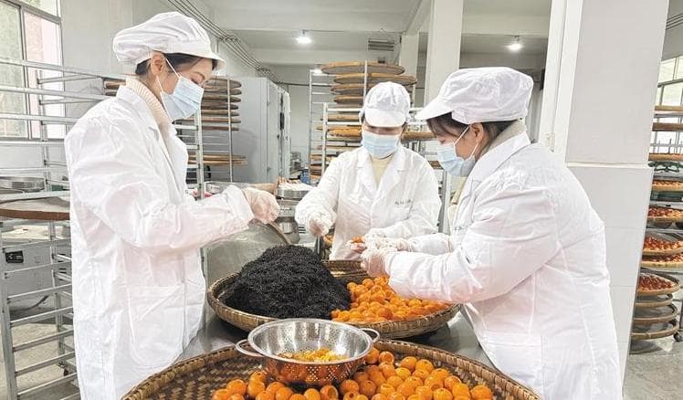 安康茶产业创新：从单一茶叶到多元茶产品与文旅融合