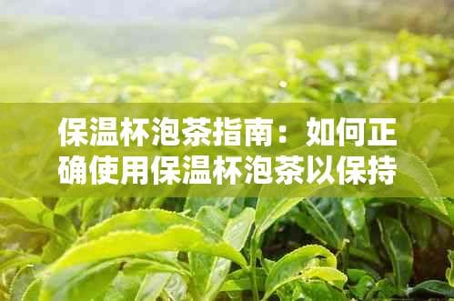 保温杯泡茶指南：如何正确使用保温杯泡茶以保持风味