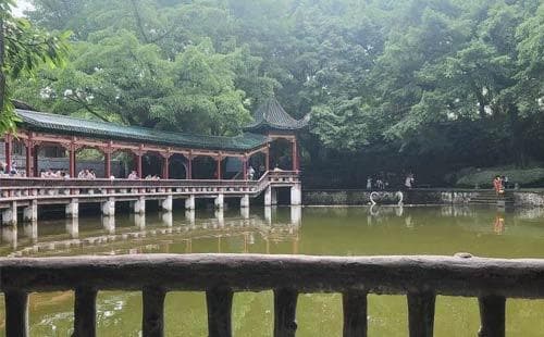 重庆免费的公园有哪些？重庆本地人必去的十大免费公园大盘点！
