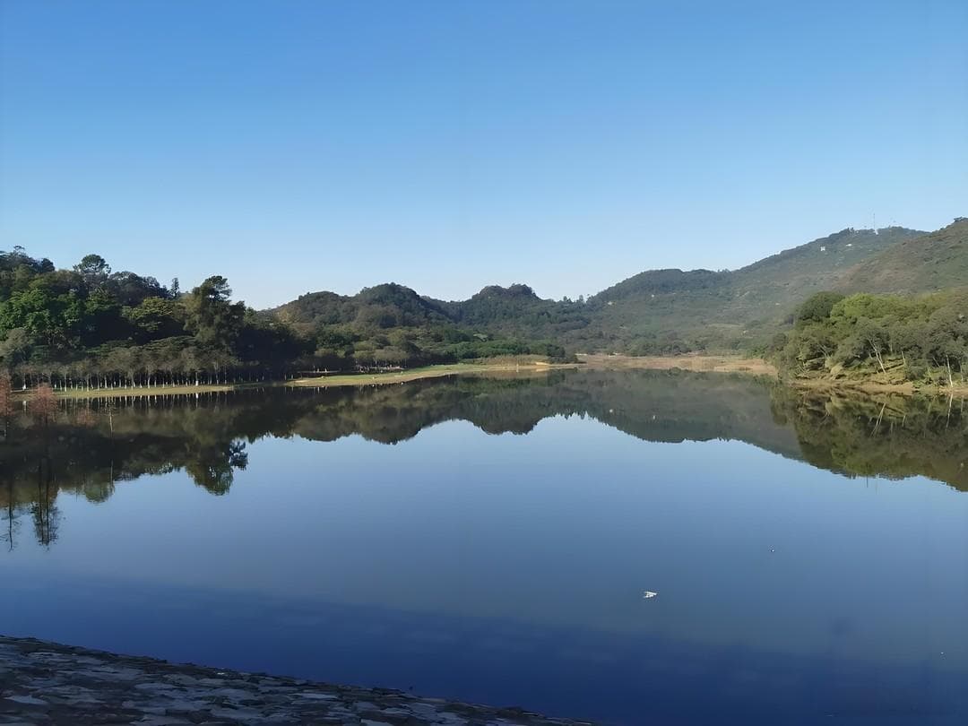 零元游广州南沙区：打卡十大免费景点的宝藏之旅