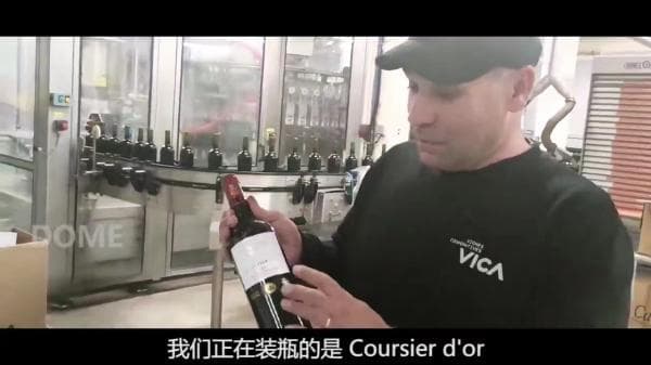 "一码溯源 全链尽悉"宁波如何引领进口商品溯源