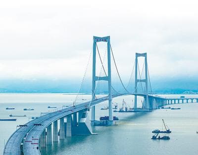 当深中通道遇上白海豚