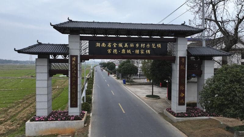 鼎城区谢家铺镇：党建引领乡村振兴 带着村民迈向“幸福里”
