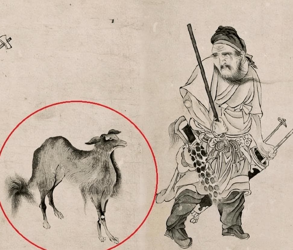 天地不仁，以万物为刍狗：老子哲学中的自然法则与治国智慧