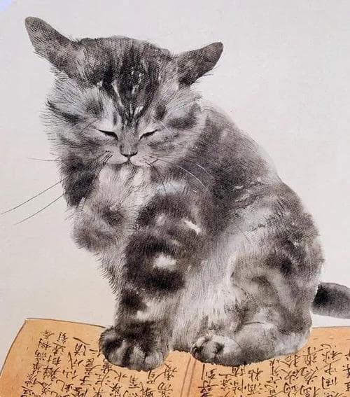 为什么喜欢老舍的作品猫?