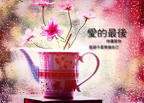 每日正能量激励早安心语(精选38句)