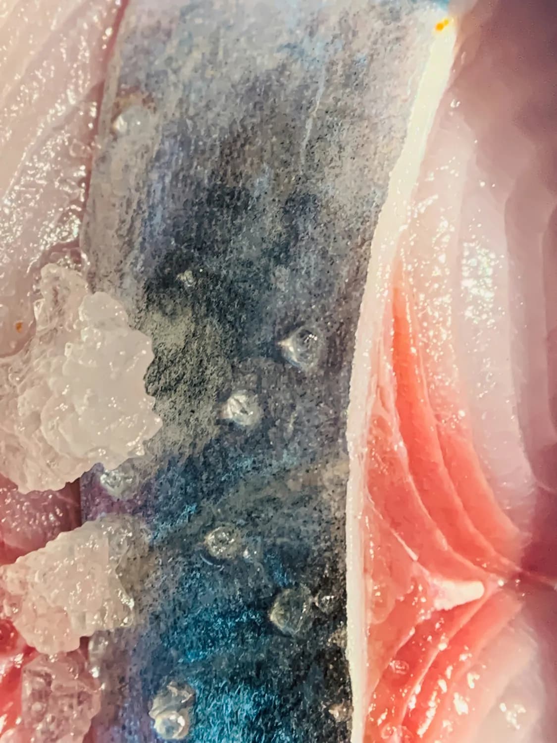 水晶泥DIY大赛：谁是手作达人？