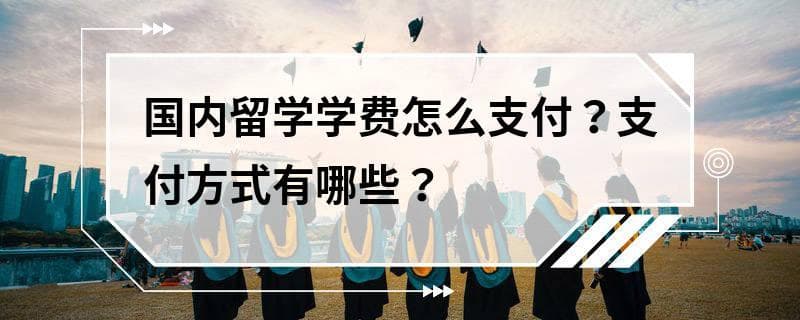 国内留学学费怎么支付？支付方式有哪些？