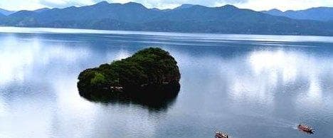 绿水水草：全面了解水草的生长、养护与利用，打造生态友好的水环境