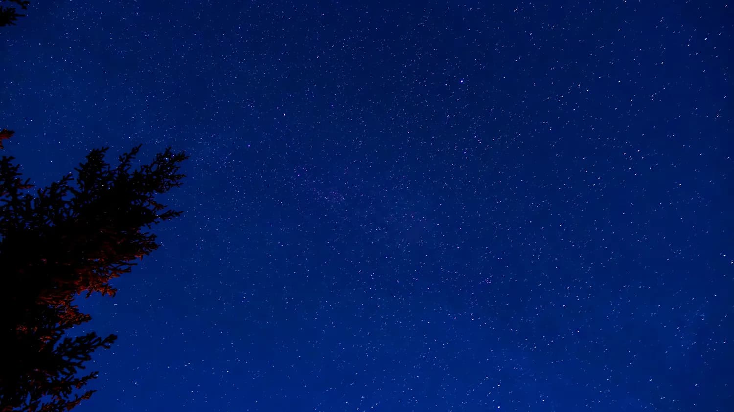 11月9日夜，星光载着我的祝福，愿你安然入梦