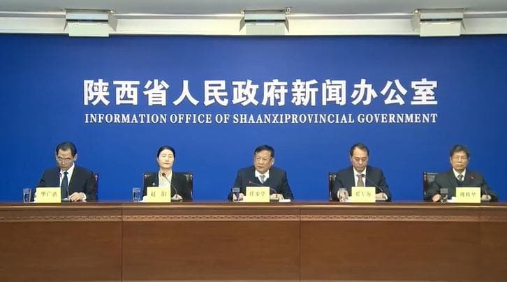 陕西提升粮食生产能力：播种面积增0.29%，总产量创新高