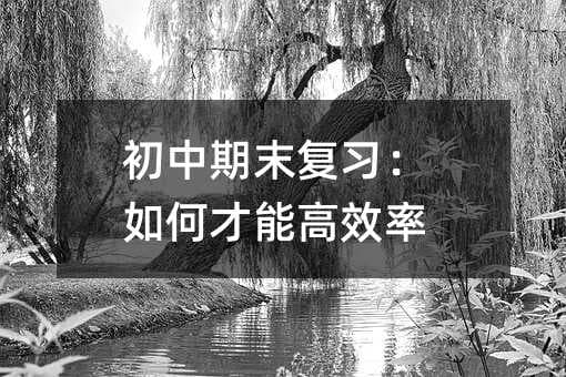 初中期末复习：如何才能高效率