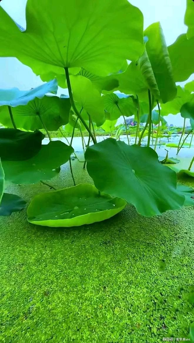 锁与钥匙的启示：看待事物的双重标准
