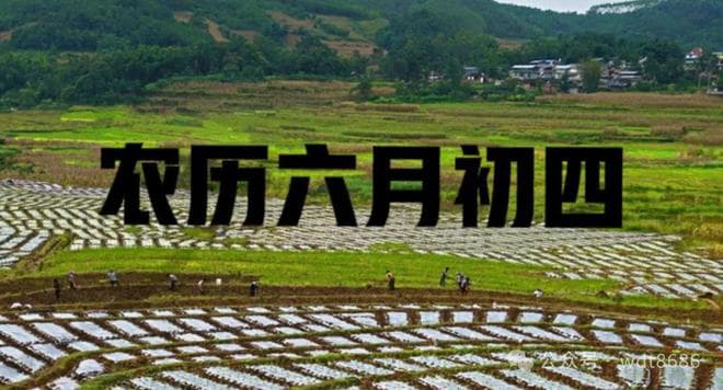 六月初四：一个值得铭记的“忌日”